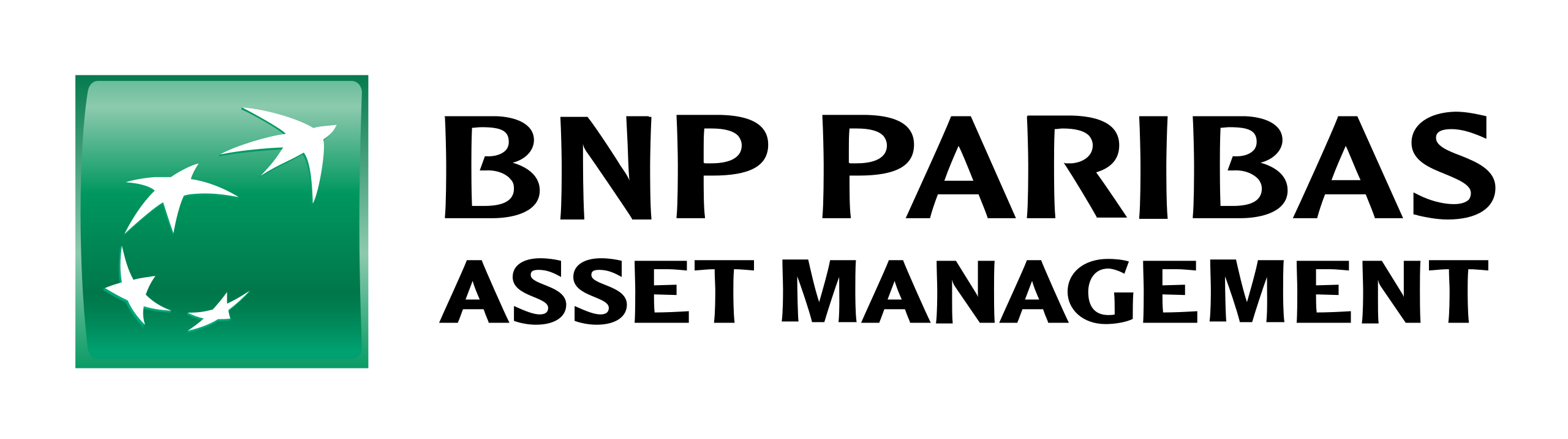 BNP Paribas AM